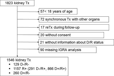 Cellular immunity against cytomegalovirus and risk of infection after kidney transplantation